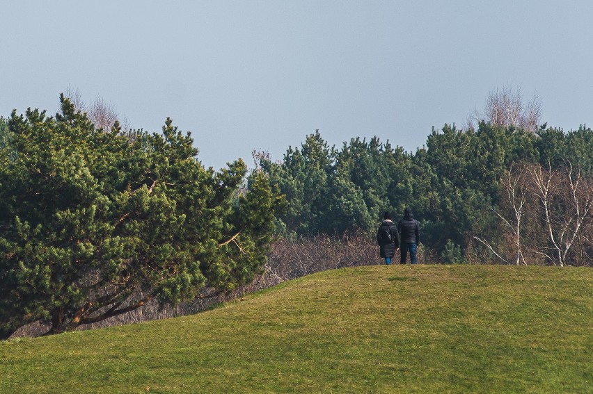 Park Oliwski i im. Ronalda Reagana w Gdańsku zamknięte dla...