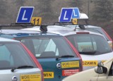 Wyniki egzaminów w szkołach nauki jazdy z południowej części regionu w 2008 r.