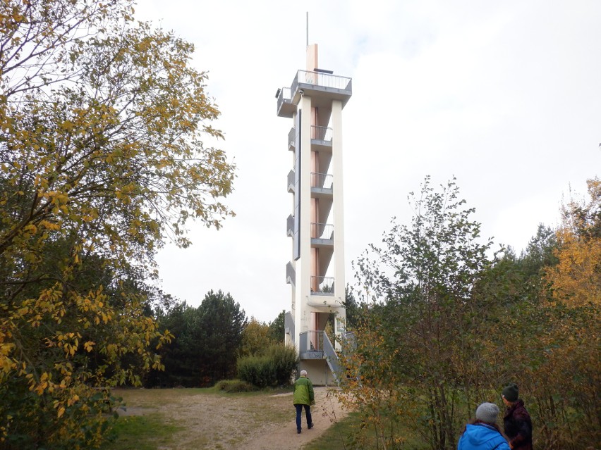 Wieża widokowa na wzgórzu Neuberzdorfer Höhe (309,4 m...