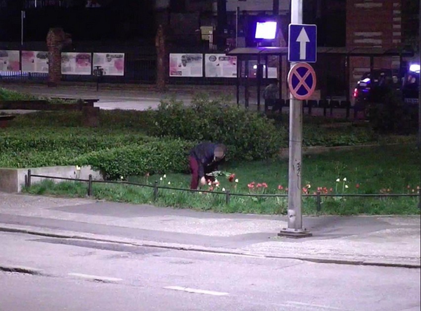 Okiem bydgoskiego monitoringu - nocny złodziej tulipanów i artyści pisaka [zdjęcia]