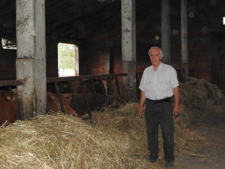 Rolnik roku. Gospodarstwo Stanisława Kulpy z Wojszek (zdjęcia)