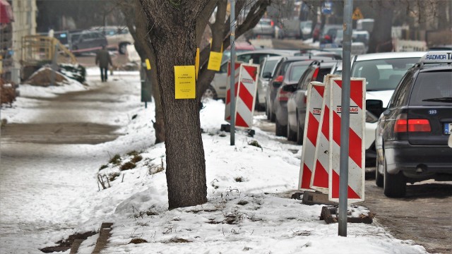 Kwestia ekologii, ochrony drzew rozmija się z obowiązującymi przepisami budowlanymi. Nie oznacza to jednak, że nie będzie na tym odcinku terenów zielonych - tego ratusz chce dopilnować