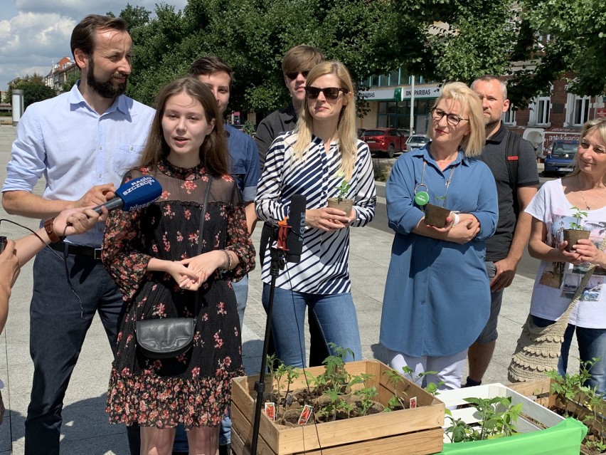 Szczecin. Zieloni wychodzą w miasto i prezentują swój program