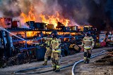 Ogromny pożar w Piotrowicach na Dolnym Śląsku. Płonie hala tartaku, na miejscu kilkanaście zastępów straży pożarnej | ZDJĘCIA