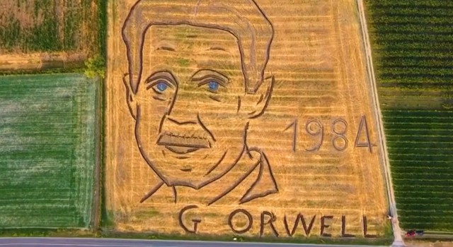 Gigantyczny portret Orwella wykonany traktorem na polu we Włoszech