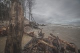 Eunice dopełni dzieła zniszczenia w Orzechowie? W odmętach Bałtyku znikają kolejne metry unikatowego klifu (zdjęcia)