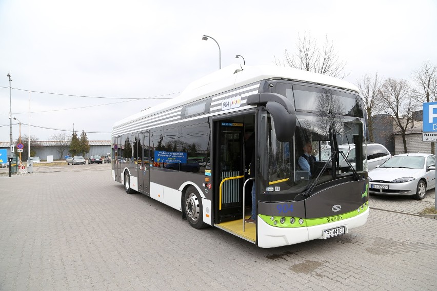 MPK Poznań kupi 21 autobusów elektrycznych. Pojazdy będą niskopodłogowe i klimatyzowane