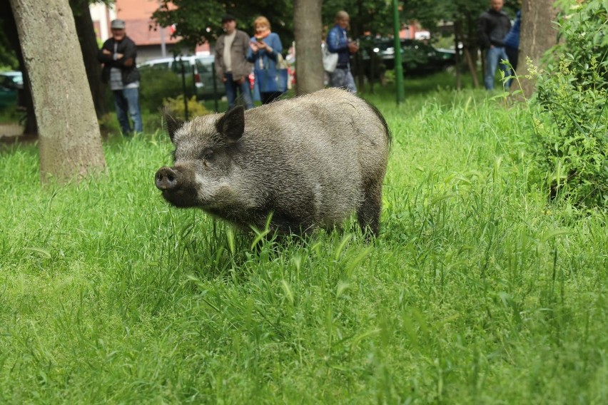 Zdjęcie ilustracyjne