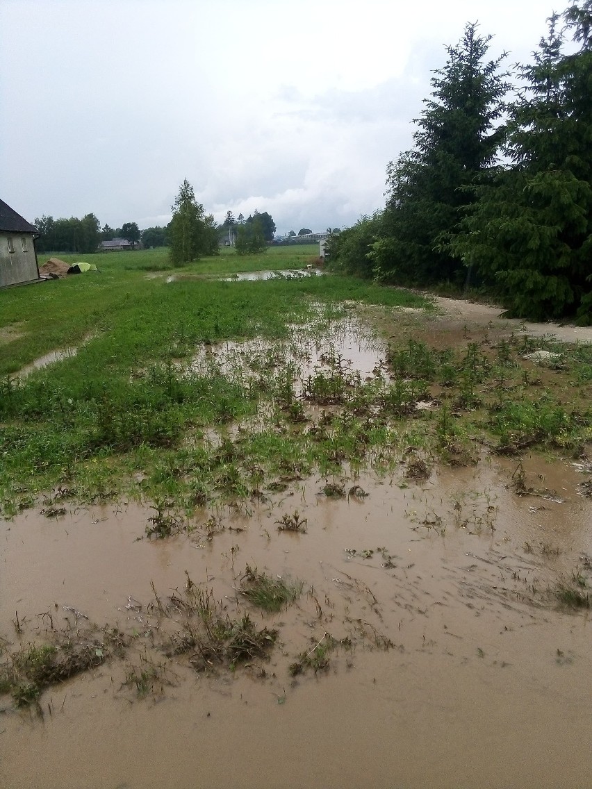 Przez powiat rypiński przeszła potężna ulewa.
