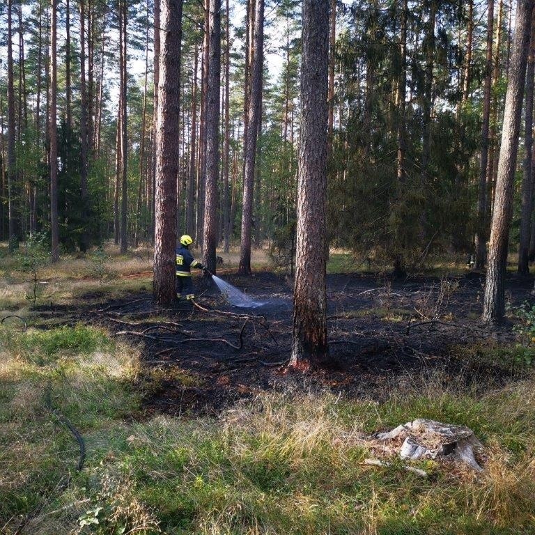 Nadleśnictwo Szczebra. Susza nie odpuszcza. Kolejny pożar lasu w regionie (zdjęcia)