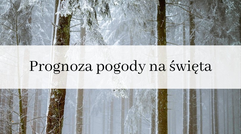 Święta nadchodzą wielkimi krokami, a za oknem pojawił się...