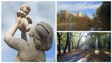 Park Róż w Chorzowie. Jak prezentuje się w październikowym słońcu? Ogromny plac zabaw, stawy, alejki, fontanna i wiele innych