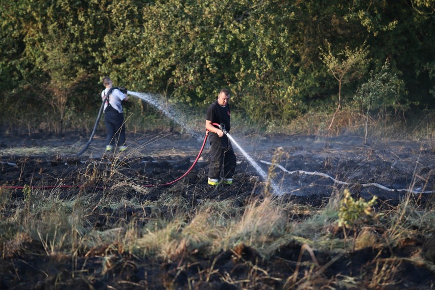 Pożar na Marszowicach