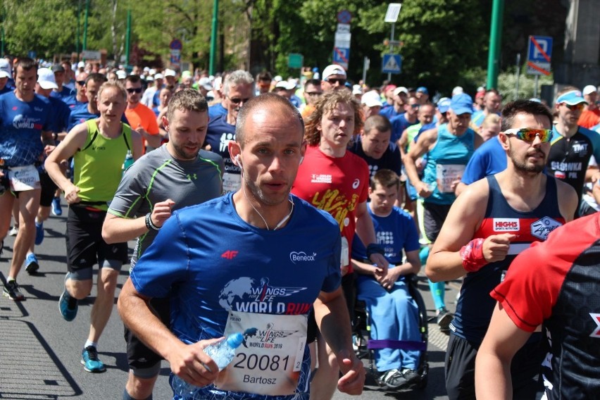 Wings For Life Poznań 2018: Zdjęcia biegaczy [WIELKA GALERIA...