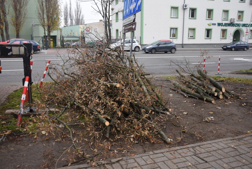 Zielona Góra, 26 listopada 2019, wycinka drzew przy ul....