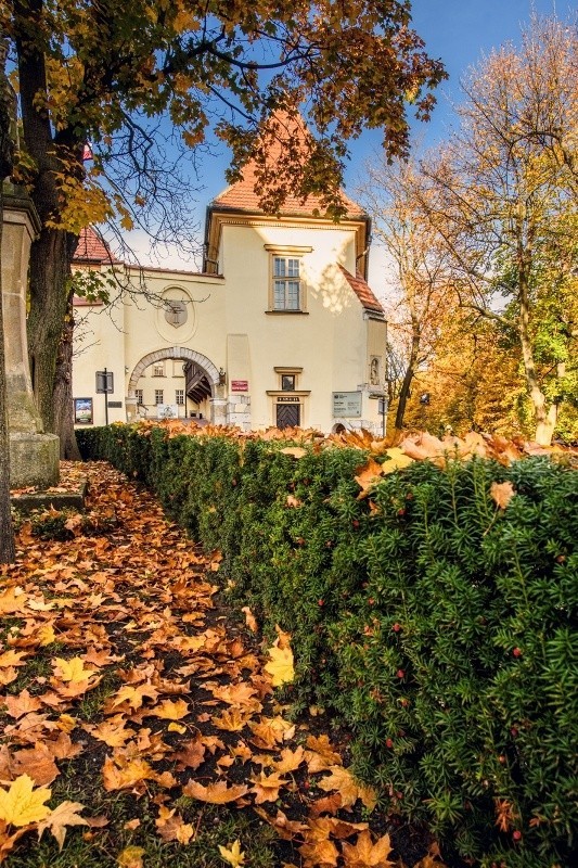 Darmowy Listopad w Rezydencjach Królewskich - Zamek Żupny w Wieliczce