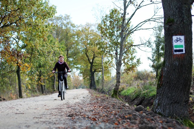 Trasa rowerowa do Swołowa to raj dla turystów.