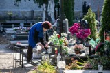 Wszystkich Świętych w Bydgoszczy - ile kosztuje teraz sprzątanie grobów? Znamy ceny