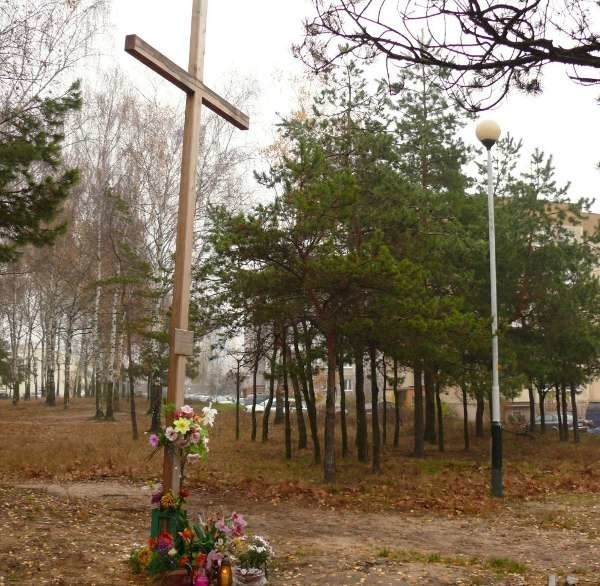 Krzyż na wzgórku stał się powodem niezgody między prezydentem Stalowej Woli i władzami Kościoła.