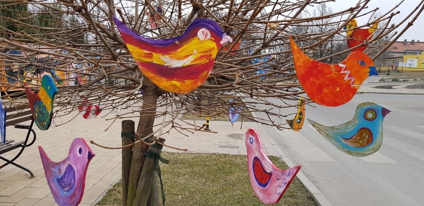 Wiosenne ptaki cudaki przysiadły na gałęziach drzew przed Chełmskim Domem Kultury. Zobacz zdjęcia