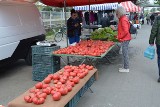 Piątkowy targ w Stalowej Woli, na straganach czerwono od pomidorów. Jakie były ceny owoców i warzyw? Zobacz zdjęcia