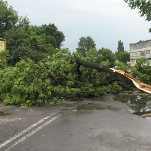 Efekt wichury, która dziś po południu przeszła nad Mazurami były także połamane drzewa. Najbardziej tragiczne żniwo nawałnica zebrała jednak nad wodą