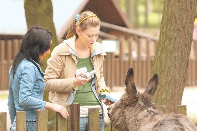 Zoo, obok Ogrodu Botanicznego i polany Różopole, to dziś główne miejsce odwiedzin w parku