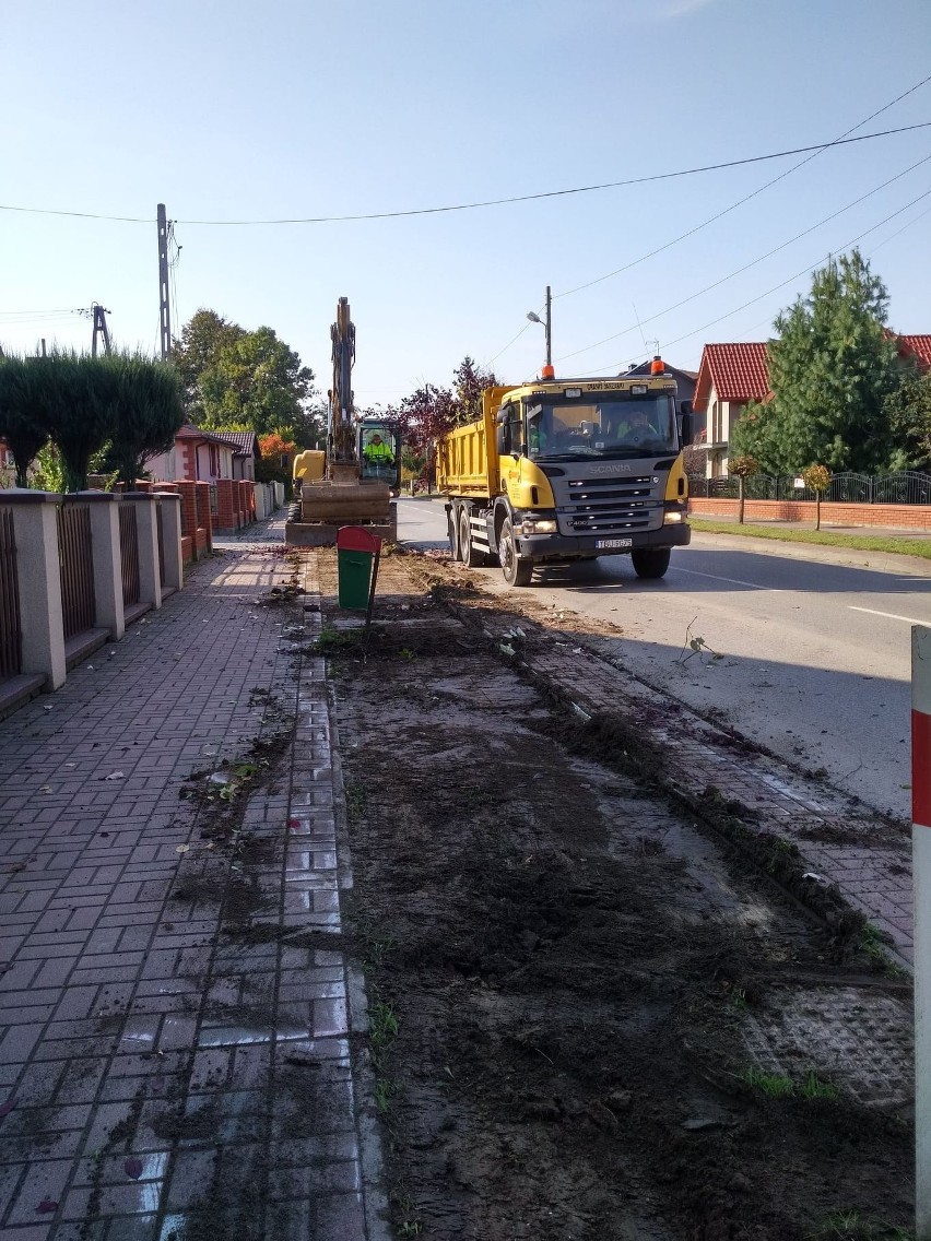 Drzewa ozdobne będą rosły przy ulicy podporucznika Sokoła w Skalbmierzu. Zasadzone zostaną klony czerwone i zielone [ZDJĘCIA] 