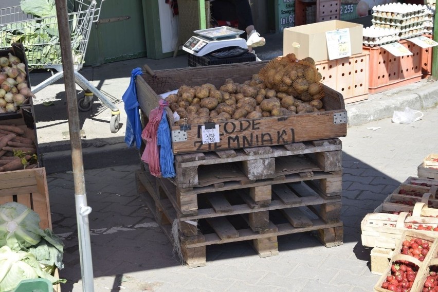 Owoce i warzywa na giełdzie w Sandomierzu. Co można było kupić w sobotę 18 czerwca? Zobacz zdjęcia