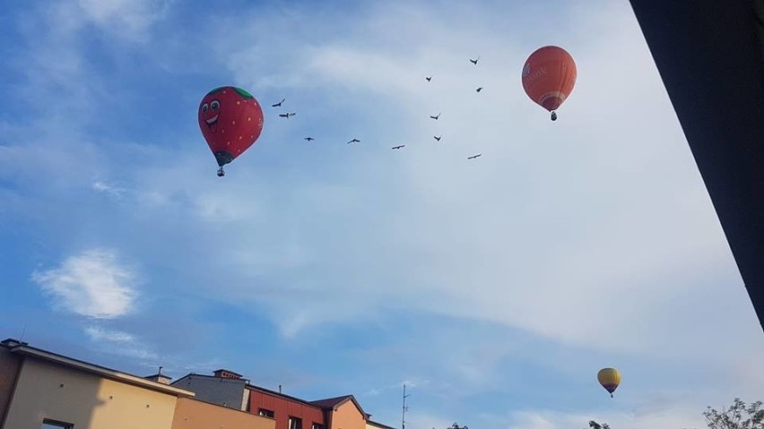 Pierwsze balony pojawiły się nad miastem w piątek po godz....