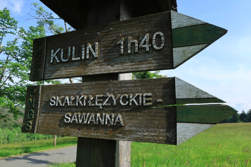 Przez tzw. sawannę na Dolnym Śląsku prowadzi zielony szlak...