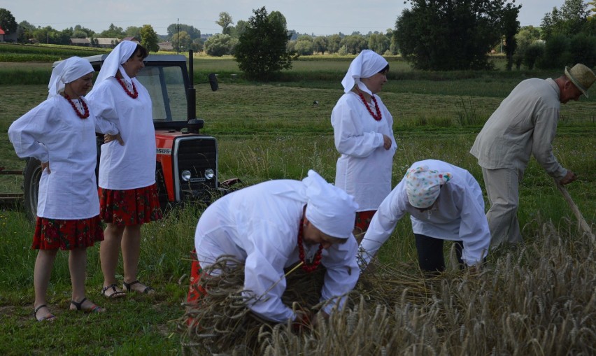 Na polach pracują kombajny, a w Ostrowie wyciągnęli z lamusa sierpy i kosy