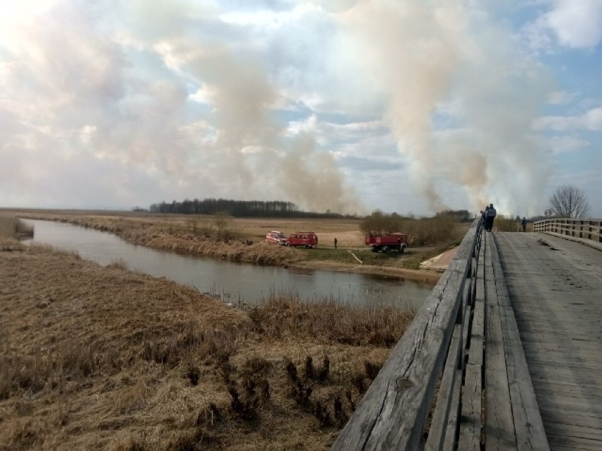 W Biebrzańskim Parku Narodowym wybuchł pożar