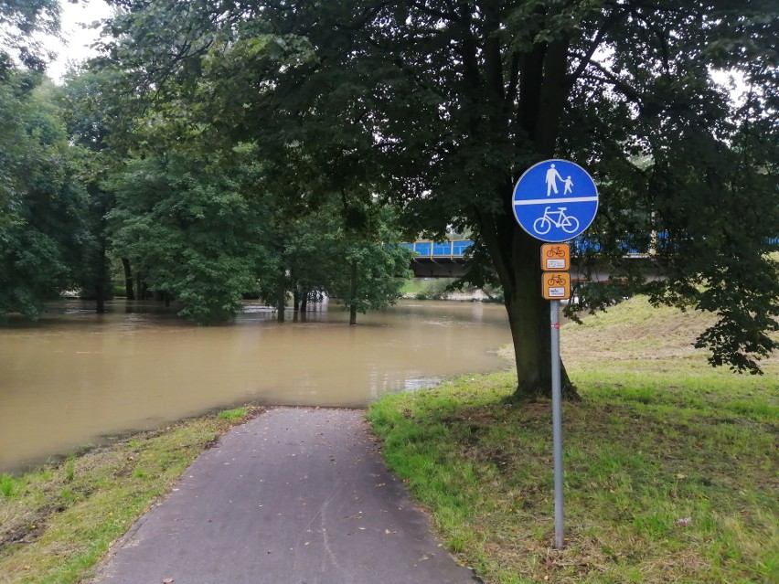 W czwartek 2 września 2021 r., wciąż bardzo wysokie stany...