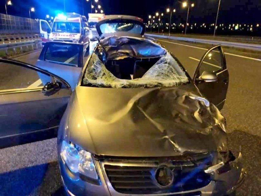 Policjant zginął, gdy w jego samochód uderzył jeleń.