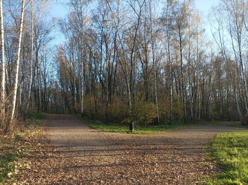 20 ha zrekultywowanego składowiska odpadów pogórniczych i...