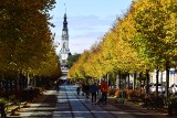 Częstochowa w barwach jesieni. Pięknie wyglądają Aleje, parki i skwery. Można się zachwycić!