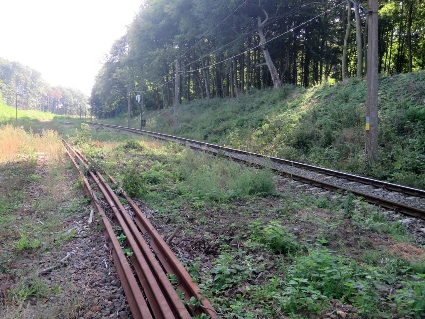 Szczecińska Kolej Metropolitalna. Sprawdzamy, co dzieje się na placu budowy. Zobacz nowe ZDJĘCIA