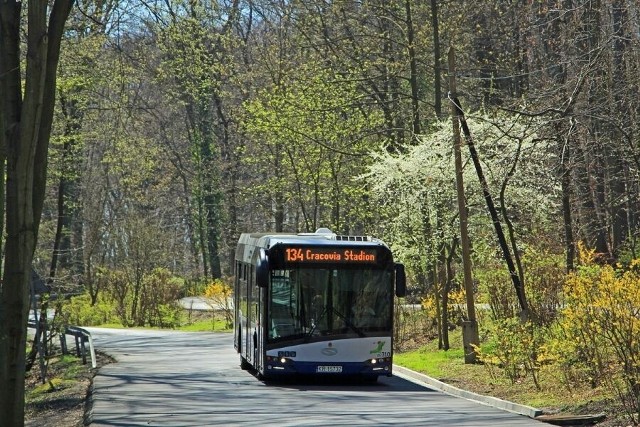 Są w ten weekend dodatkowe kursy autobusów do ogrodu zoologicznego w Krakowie