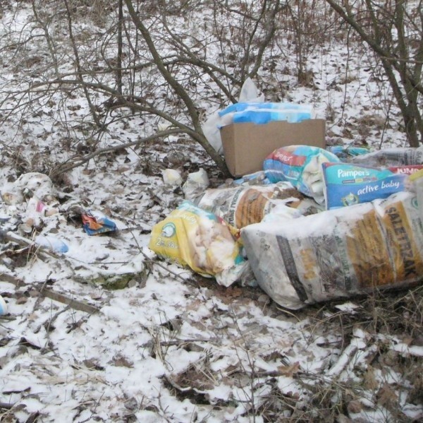 Takie śmieci można zastać w lesie przy drodze powiatowej przed Krzepinem (gmina Secemin).