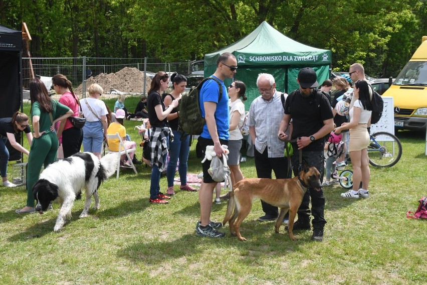 "Piknik" to wydarzenie organizowane przez Schronisko dla...