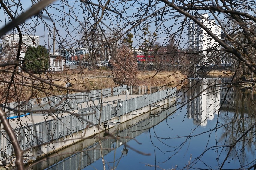 We Wrocławiu powstanie miejska marina? Jest taka szansa