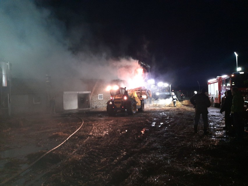 Koniecbór. 51 ratowników walczyło z wielkim pożarem (zdjęcia)