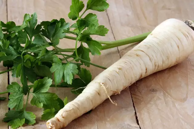 Uprawiana w glebie zbyt suchej powoduje, że wytwarza rozwidlone korzenie i daje niski plon. Z kolei uprawa pietruszki w glebie zbyt wilgotnej powoduje zagniwanie korzeni.