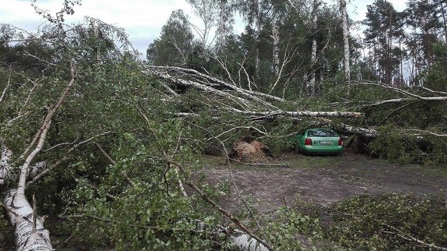 Po gwałtownych porywach wiatru i burzy, która przeszła nad regionem, w ośrodku Kaszubski Bór w Sominach traw sprzątanie i szacowanie strat. Drzewa spadały na samochody i domki letników.
