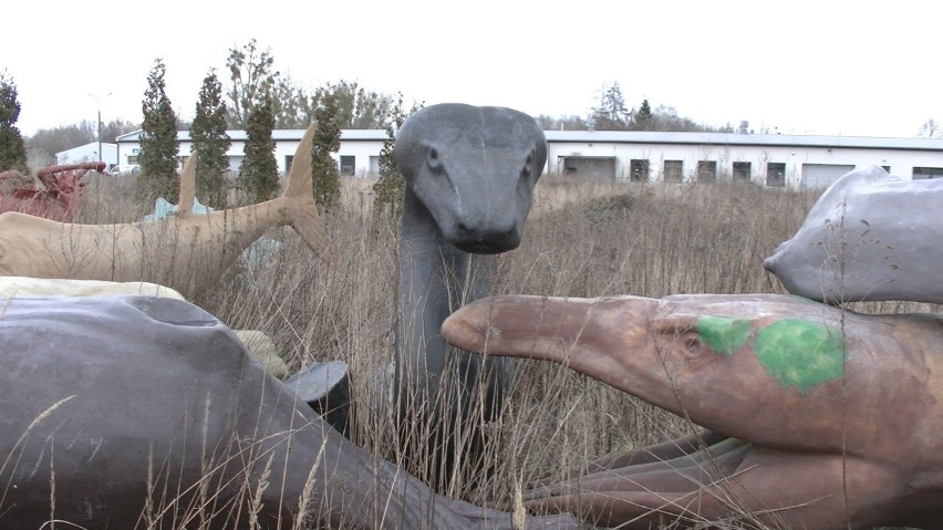 Dzień Dinozaura. Wiedzieliście, że te prehistoryczne stwory "rodzą" się w Policach