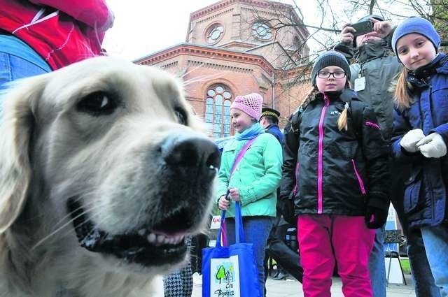 Akcja „Pachnąca wiosna” rozpoczęła się wczoraj na placu Wolności