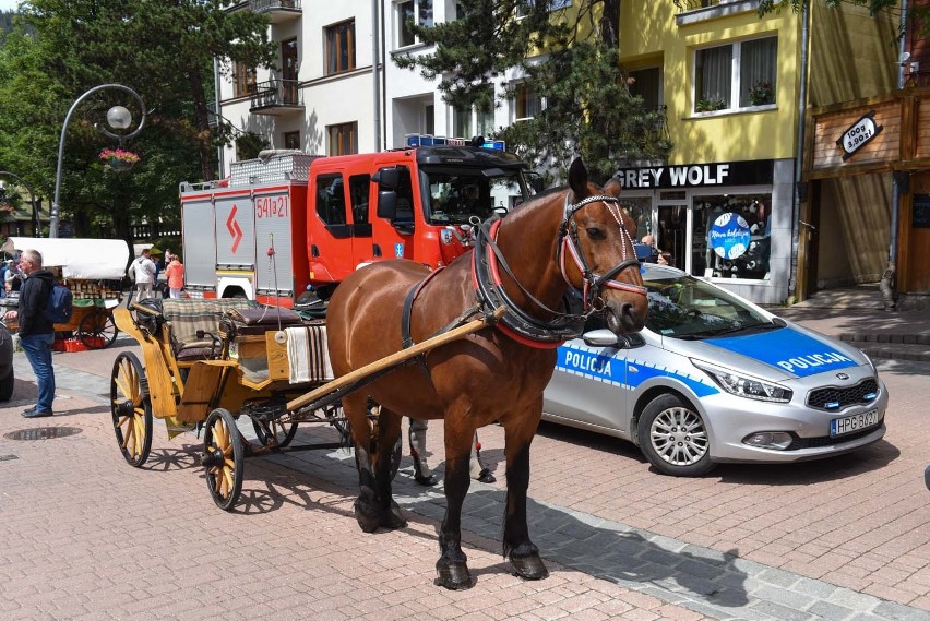 Zakopane. Śmierć na Krupówkach. Nieszczęśliwy wypadek?