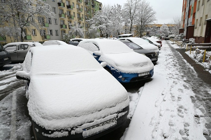 Śnieg pokrył ulice i chodniki w Stalowej Woli. Zobacz więcej...