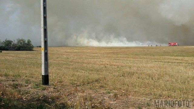 Spaliło się 200 ha łąk i ściernisk. Nad gminą Łubniany unosiła się gęsta chmura dymu Według wstępnych ustaleń strażaków, najbardziej prawdopodobną przyczyną pożaru było podpalenie traw.